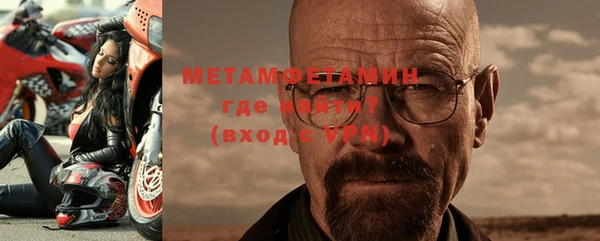 прущие грибы Елабуга