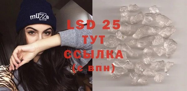 спиды Елизово