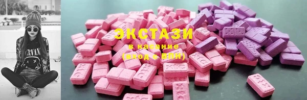 прущие грибы Елабуга
