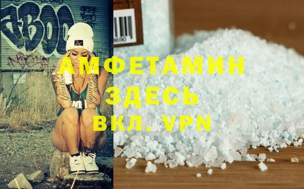 прущие грибы Елабуга