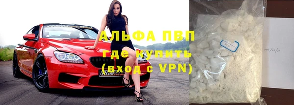 прущие грибы Елабуга