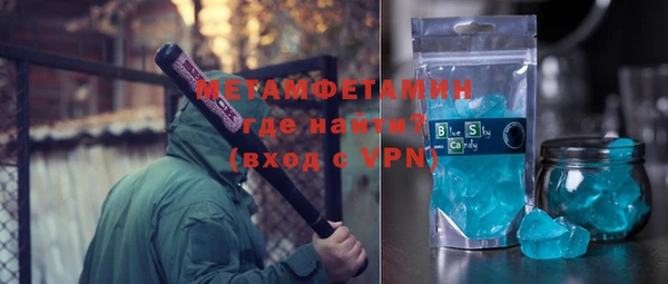 прущие грибы Елабуга