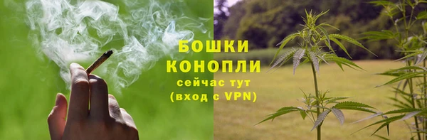 спиды Елизово