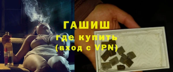 прущие грибы Елабуга