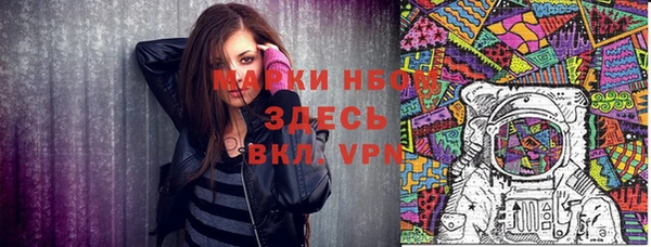 прущие грибы Елабуга