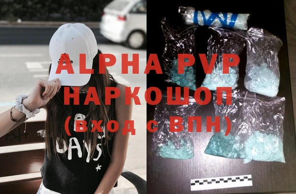 прущие грибы Елабуга