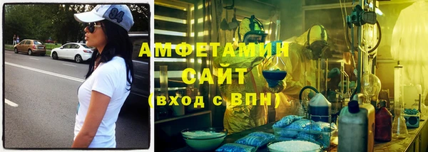 прущие грибы Елабуга