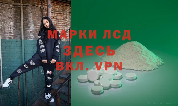 прущие грибы Елабуга