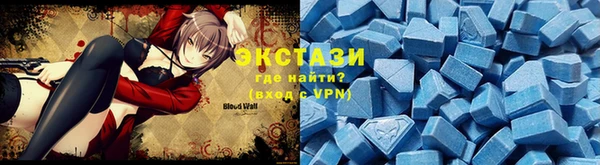 прущие грибы Елабуга