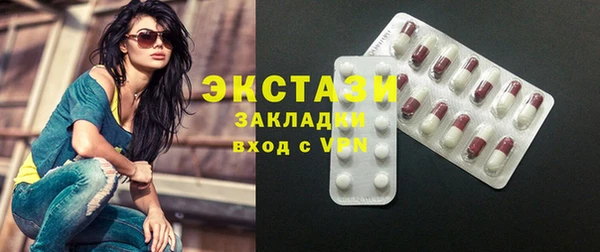 прущие грибы Елабуга