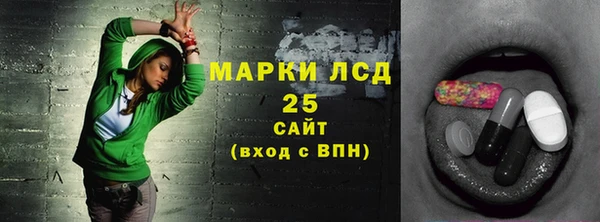 прущие грибы Елабуга