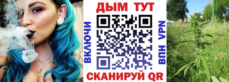 Купить  Сальск  Бошки марихуана гибрид 